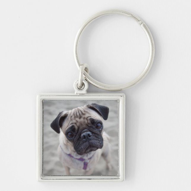 Pug Closeup Key Ring (Front)