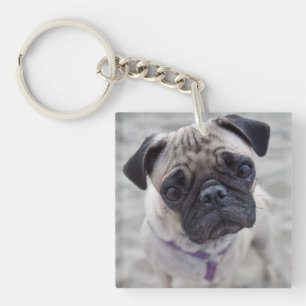 Pug Closeup Key Ring