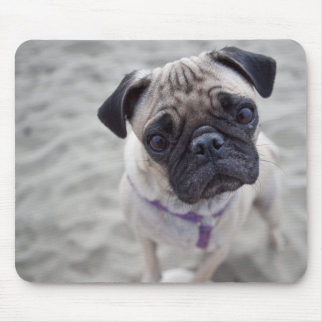 Pug Closeup Mouse Pad (Front)