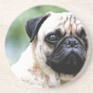 Pug Coaster