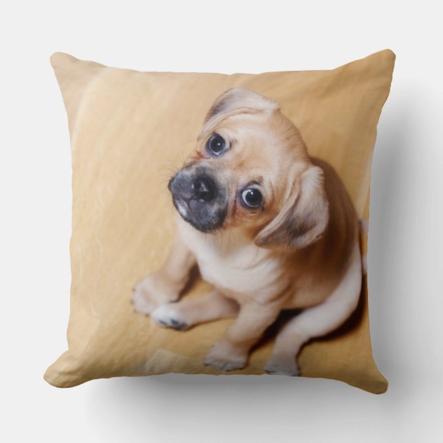Pug Cross Cavalier King Charles Spaniel Cushion (Front)