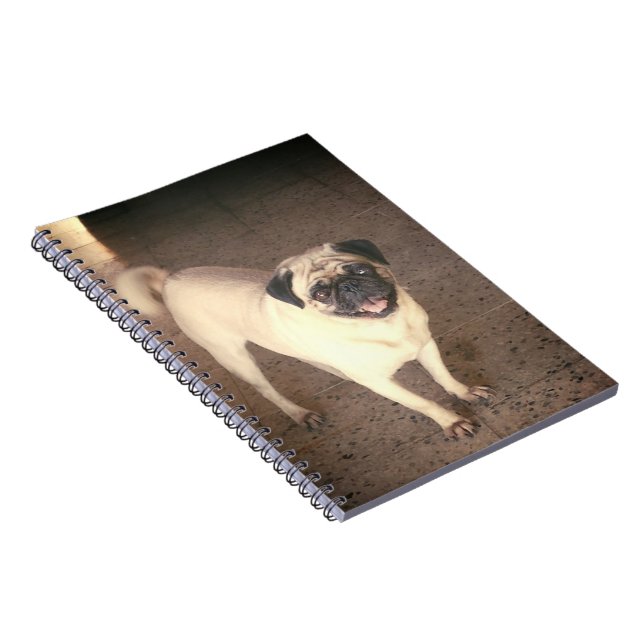 Pug design notebook (80 Pages) (Right Side)