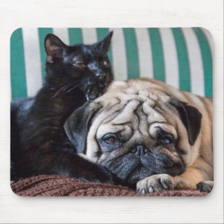 Pug Dog and Black Cat Sleeping Together Mouse Pad
