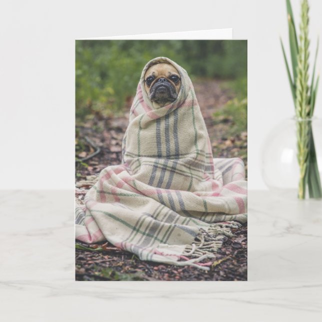 PUG DOG BIRTHDAY GREETING CARD (Front)