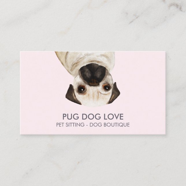Pug Dog Business Card (Front)