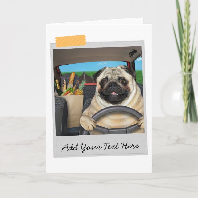 Pug Dog Car Driver Funny Card (Front)