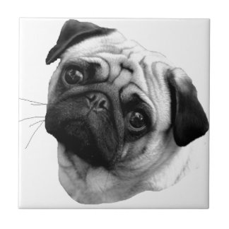 Pug Dog Ceramic Tile