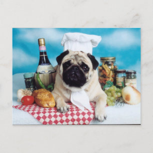 Pug Dog Chef Postcard