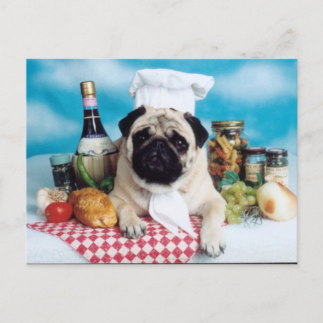 Pug Dog Chef Postcard (Front)