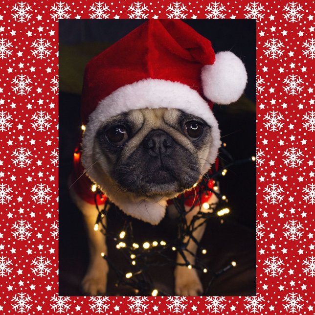 Pug Dog Christmas Personalise Signature Holiday Card (Creator Uploaded)