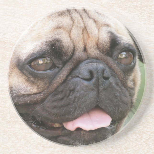 Pug Dog Coaster (Front)