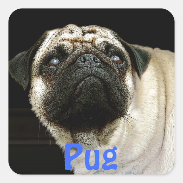 Pug Dog & Cute Pet-lover Stickers (Front)
