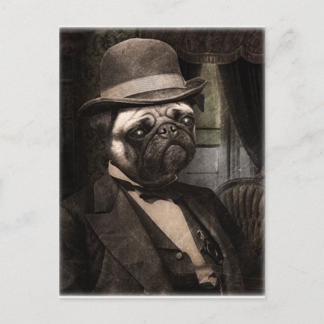 Pug Dog Dapper Gent Postcard (Front)