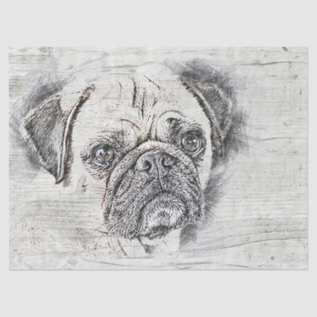 Pug Dog Drawing Tissue Paper (Front)