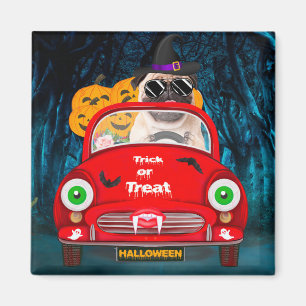 Pug Dog Driving Car Scary Halloween Magnet