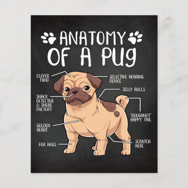  pug dog  flyer (Front)