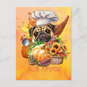 Pug Dog Hello Pumpkin Fall Autumn Thanksgiving Holiday Postcard