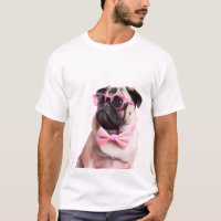 pug dog in a bow