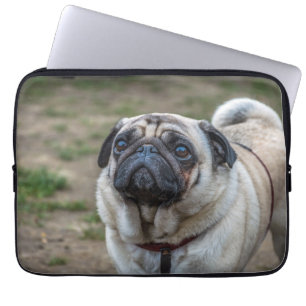 Pug dog laptop sleeve