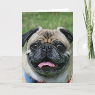 Pug Dog Notecard