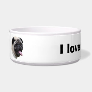 Pug dog pet photo portrait