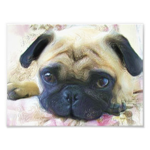 Pug dog photo print