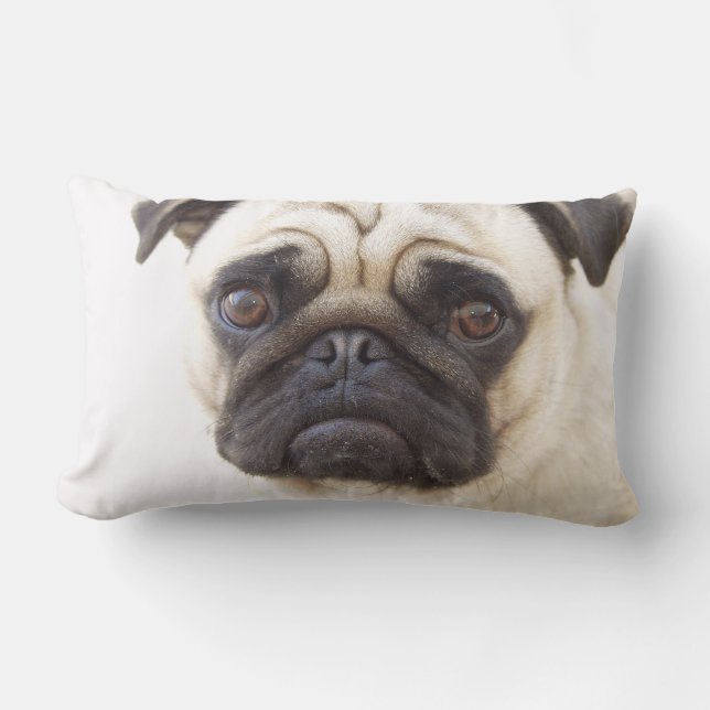 Pug Dog Pillow (Front)