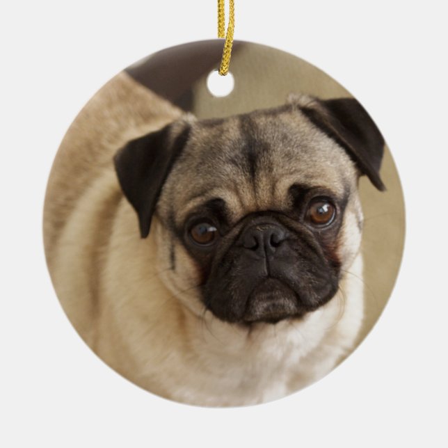 PUG DOG PUP CERAMIC TREE DECORATION (Front)