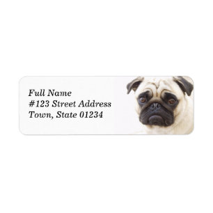 Pug Dog Return Address Mailing Label