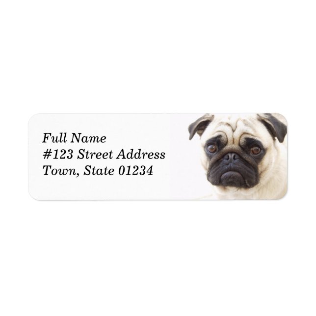 Pug Dog Return Address Mailing Label (Front)