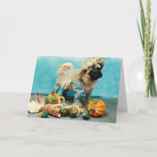 Pug Dog Scarecrow Card