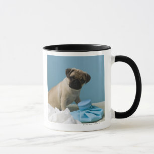 Pug dog sitting on bed by hot water bottle and mug
