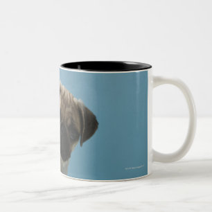 Pug dog sitting on bed by hot water bottle and Two-Tone coffee mug