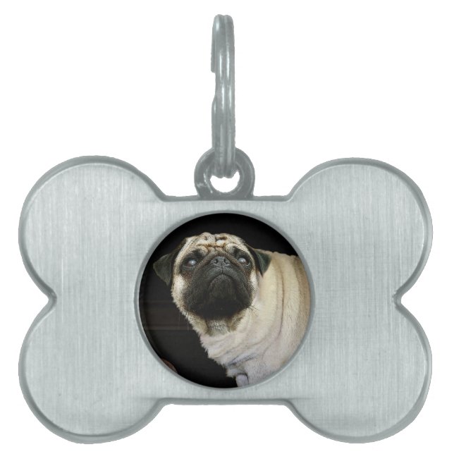 Pug Dog & Spilled Mug Pet-lovers Dog Tag (Front)
