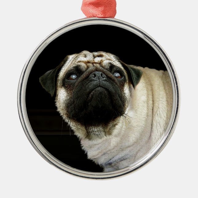 Pug Dog & Spilled Mug Pet-lovers Ornament (Front)