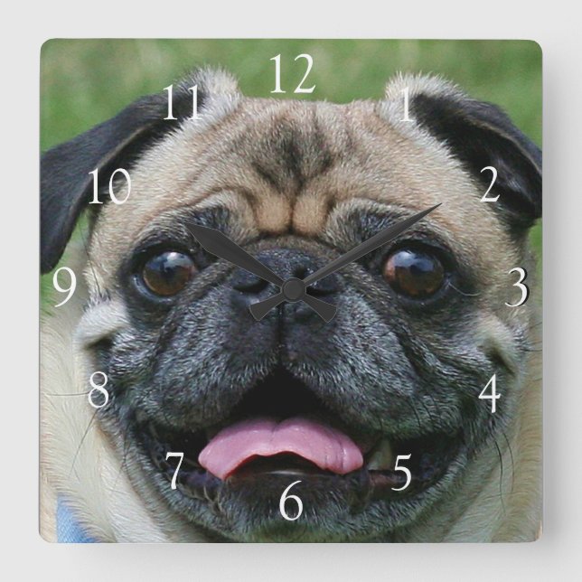 Pug dog square clock (Front)