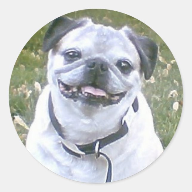 Pug Dog Sticker (Front)