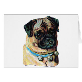 Pug Dog Vintage