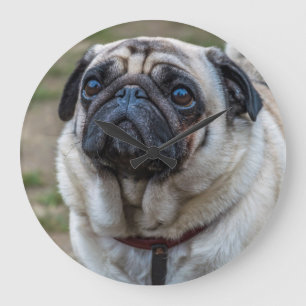 Pug dog wall clock
