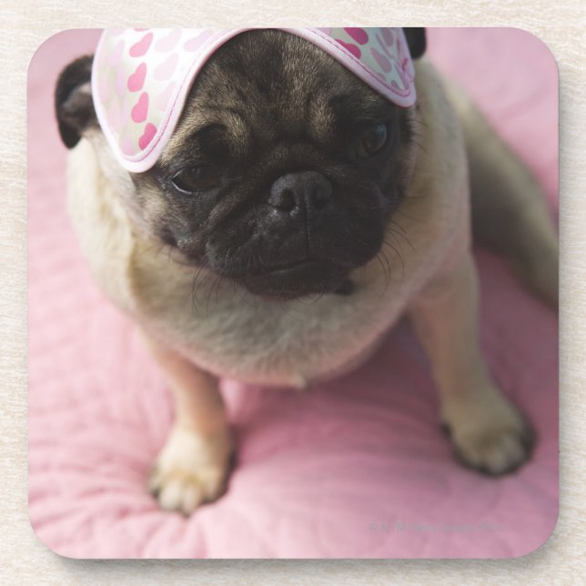Pug dog with eye mask on head sitting on bed, coaster (Front)