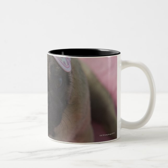Pug dog with eye mask on head sitting on bed, Two-Tone coffee mug (Right)