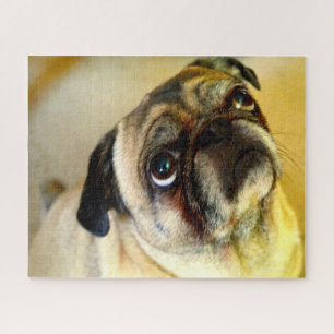 Pug Dogs. Jigsaw Puzzle
