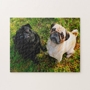 Pug Dogs. Jigsaw Puzzle