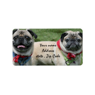 Pug dogs shipping labels