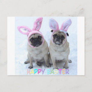 Pug Easter Bunny Holiday Postcard