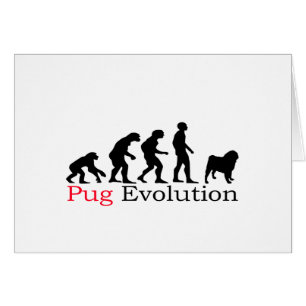 Pug Evolution