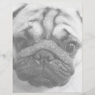 Pug Face