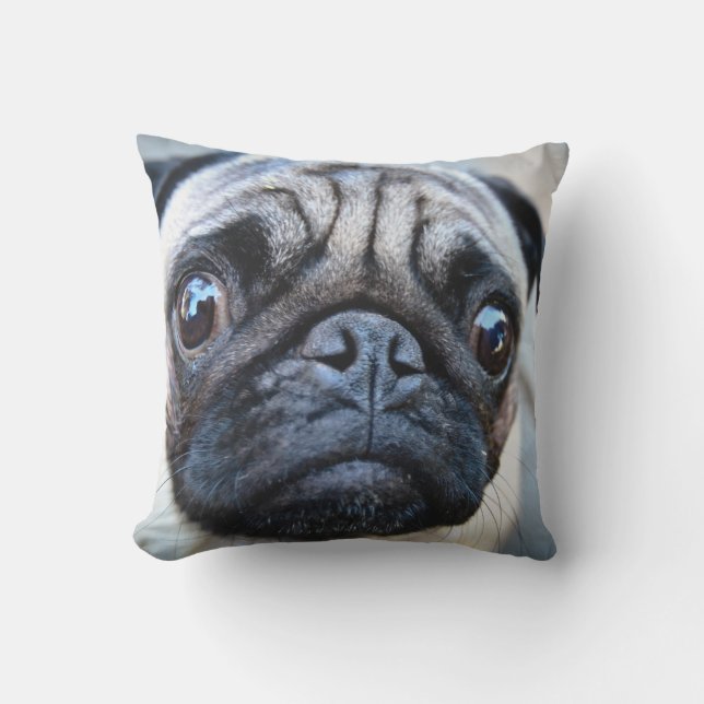 PUG FACE FOCUS CUSHION (Front)