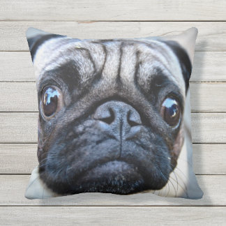 PUG FACE FOCUS CUSHION
