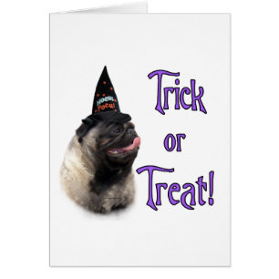 Pug (fawn) Trick